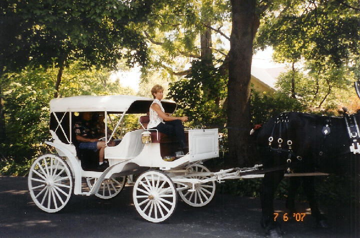 carriage_2-000.jpg