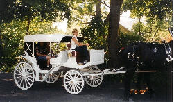 carriage_2.jpg