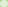img66108.jpg